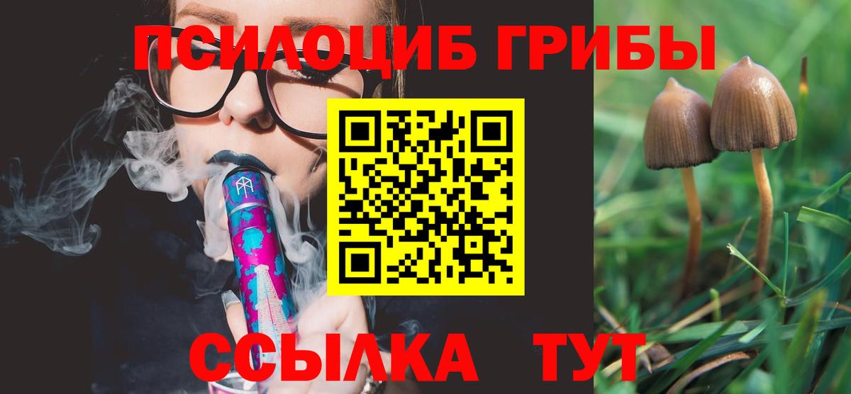 Псилоцибиновые грибы Psilocybine cubensis Карачаевск